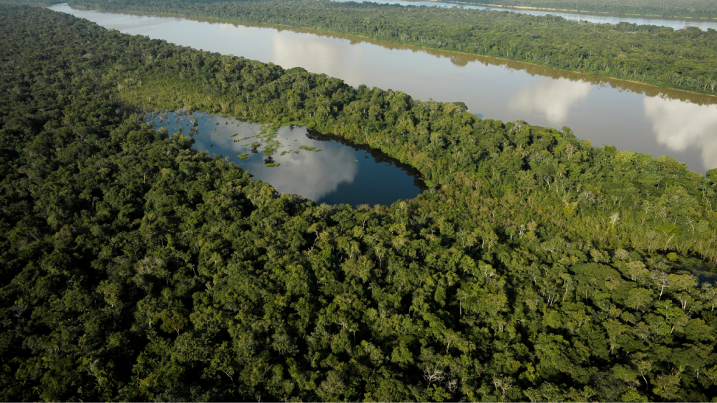 Good news for climate change: The deforestation of the amazon forest has reduced.